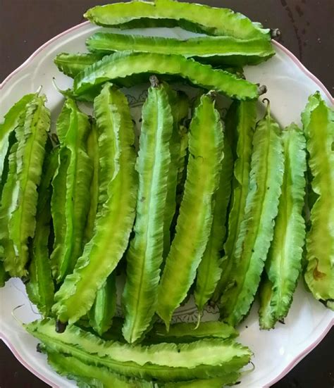 pallang in tagalog
